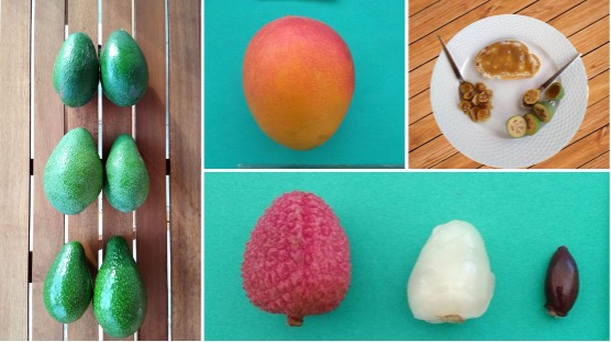 Avocado, Mango and Lychee