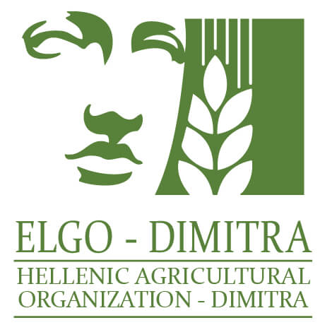 english logo