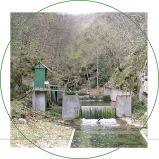 Institute of Mediterranean Forest Ecosystems