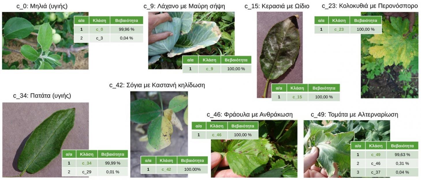 αναγνώριση ασθενειών φυτών με ΤΝ
